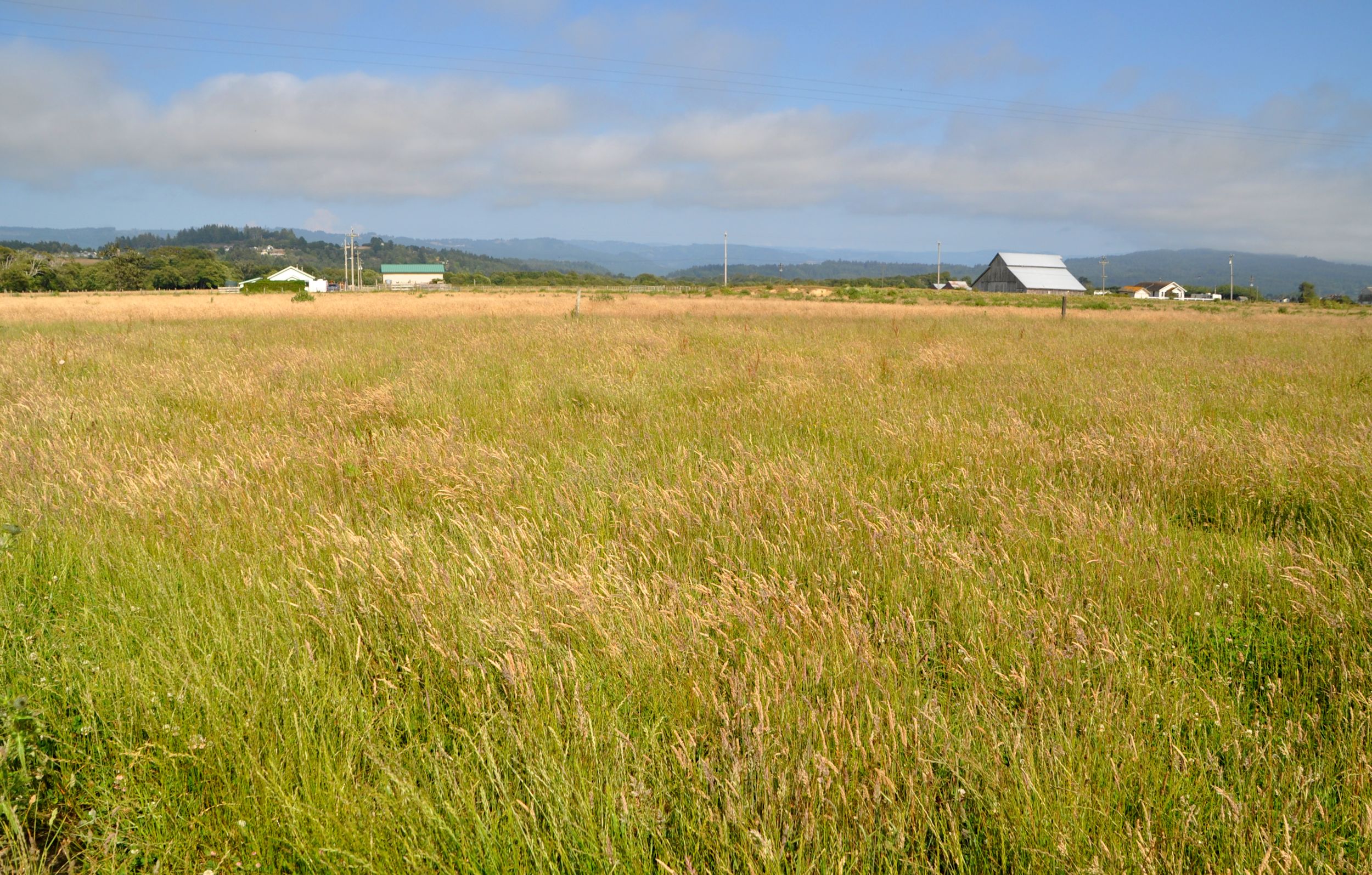 Fields and farmland near McKinleyville, California